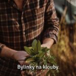 bylinky na klouby