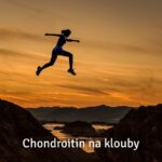chondroitin na klouby